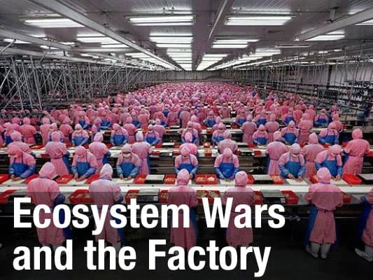 Ecosystem Wars and the Factory